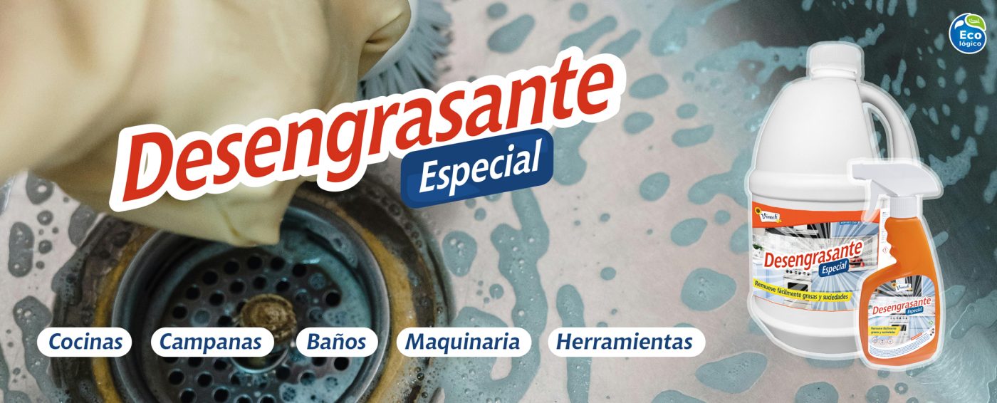 DesengrEsp-Web2026